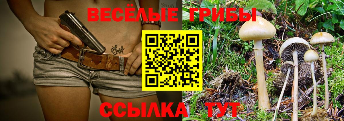 Галлюциногенные грибы мухоморы Салават