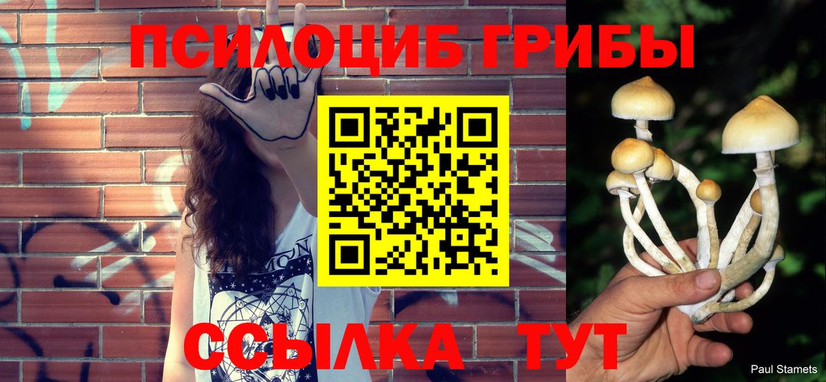 Салават  Псилоцибиновые грибы Cubensis  Галлюциногенные грибы мухоморы  Вход с VPN 